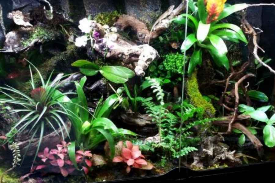 Decora con plantas y troncos