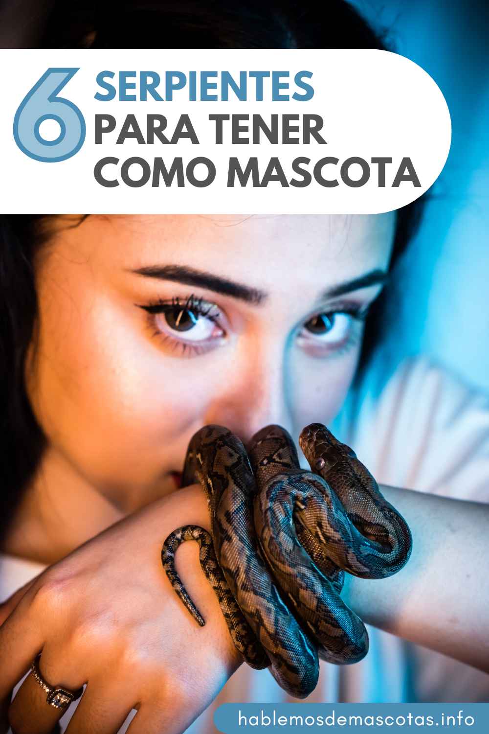 6 Serpientes para Tener como Mascota
