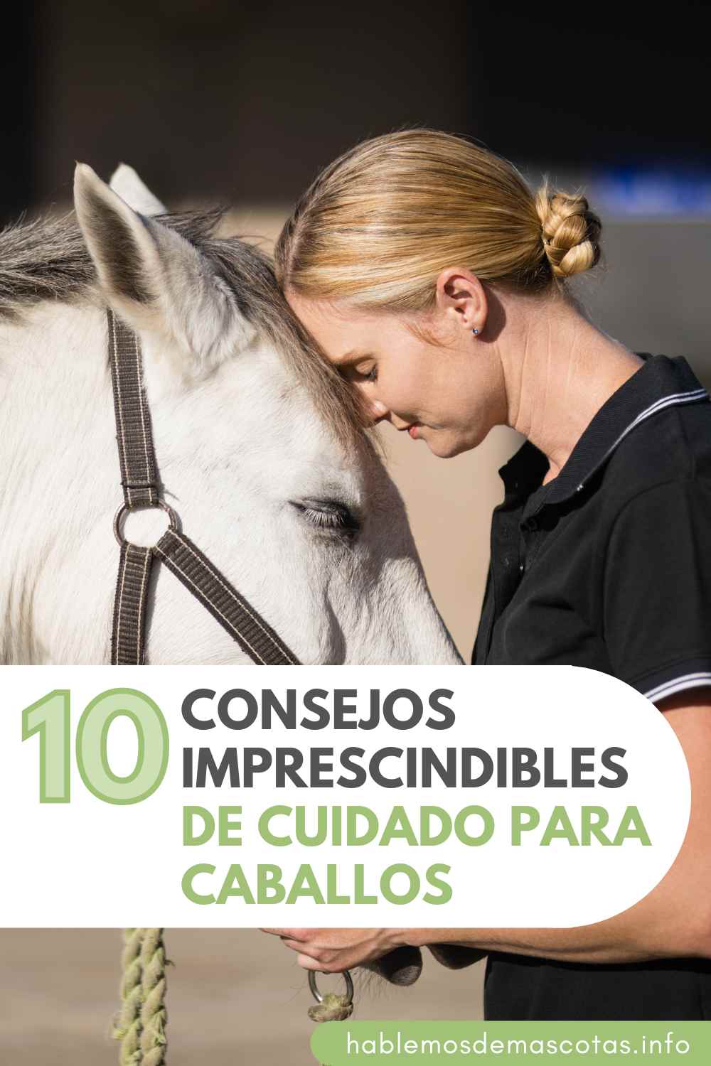 10 Consejos Imprescindibles de Cuidado para Caballos