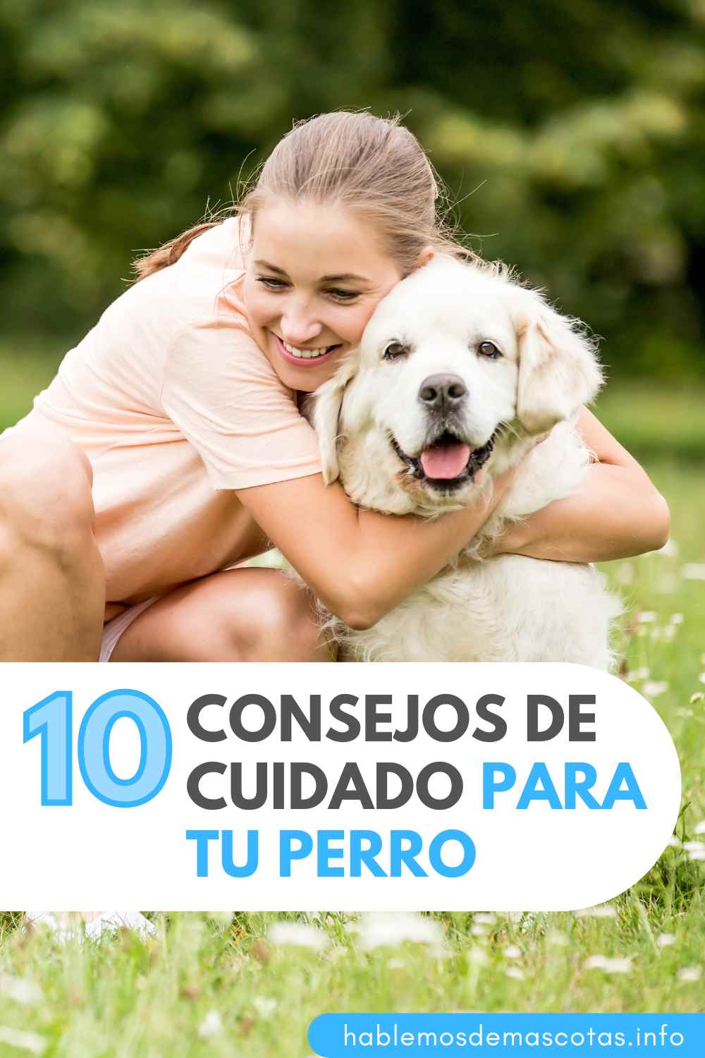 10 Consejos de Cuidado para tu Perro