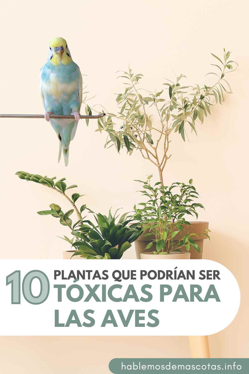10 Plantas que Podrían Ser Tóxicas para las Aves