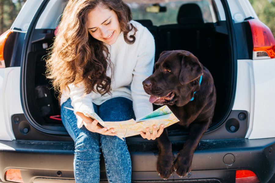 preparar viaje con un perro