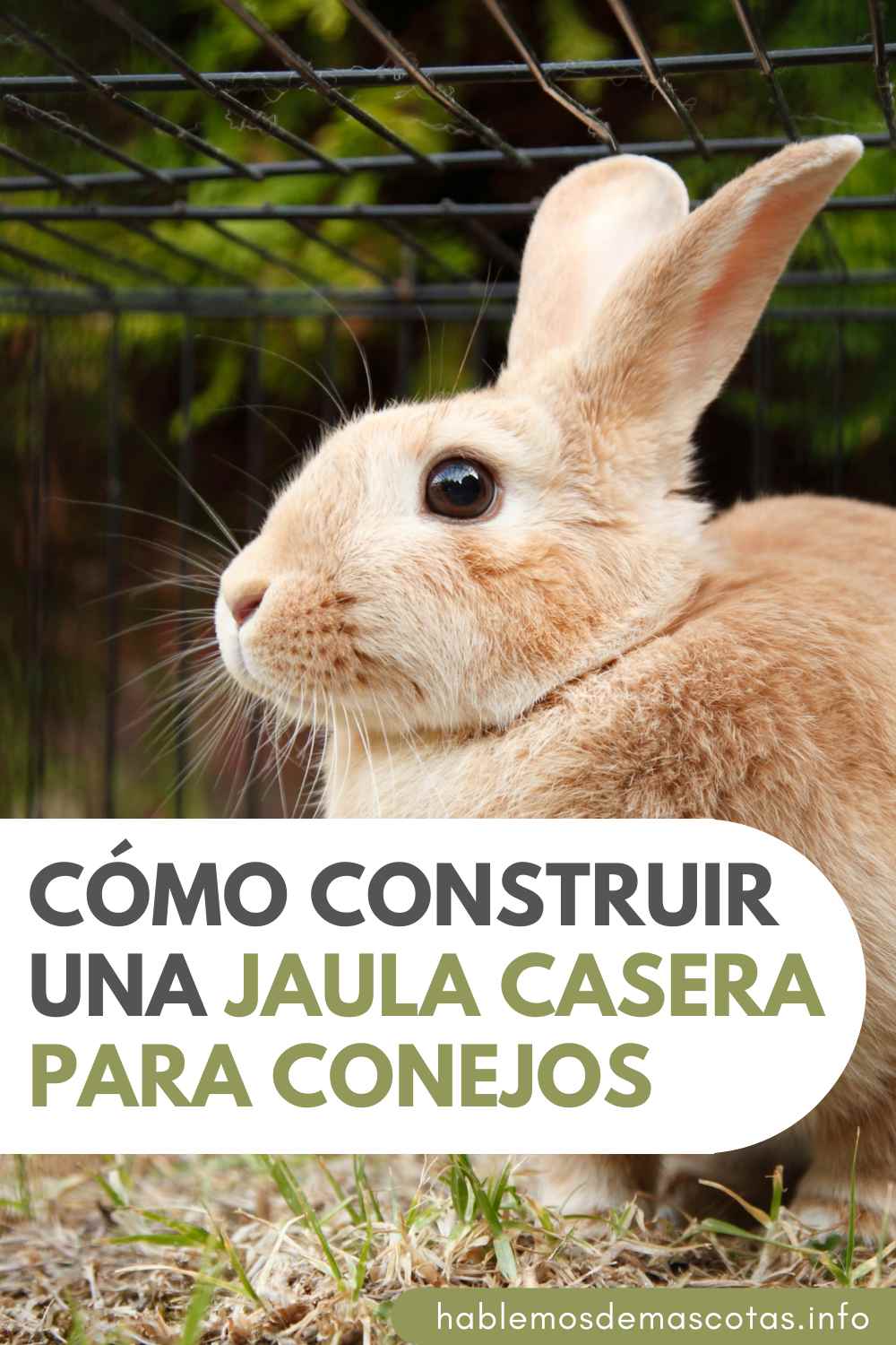 Cómo Construir una Jaula Casera para Conejos