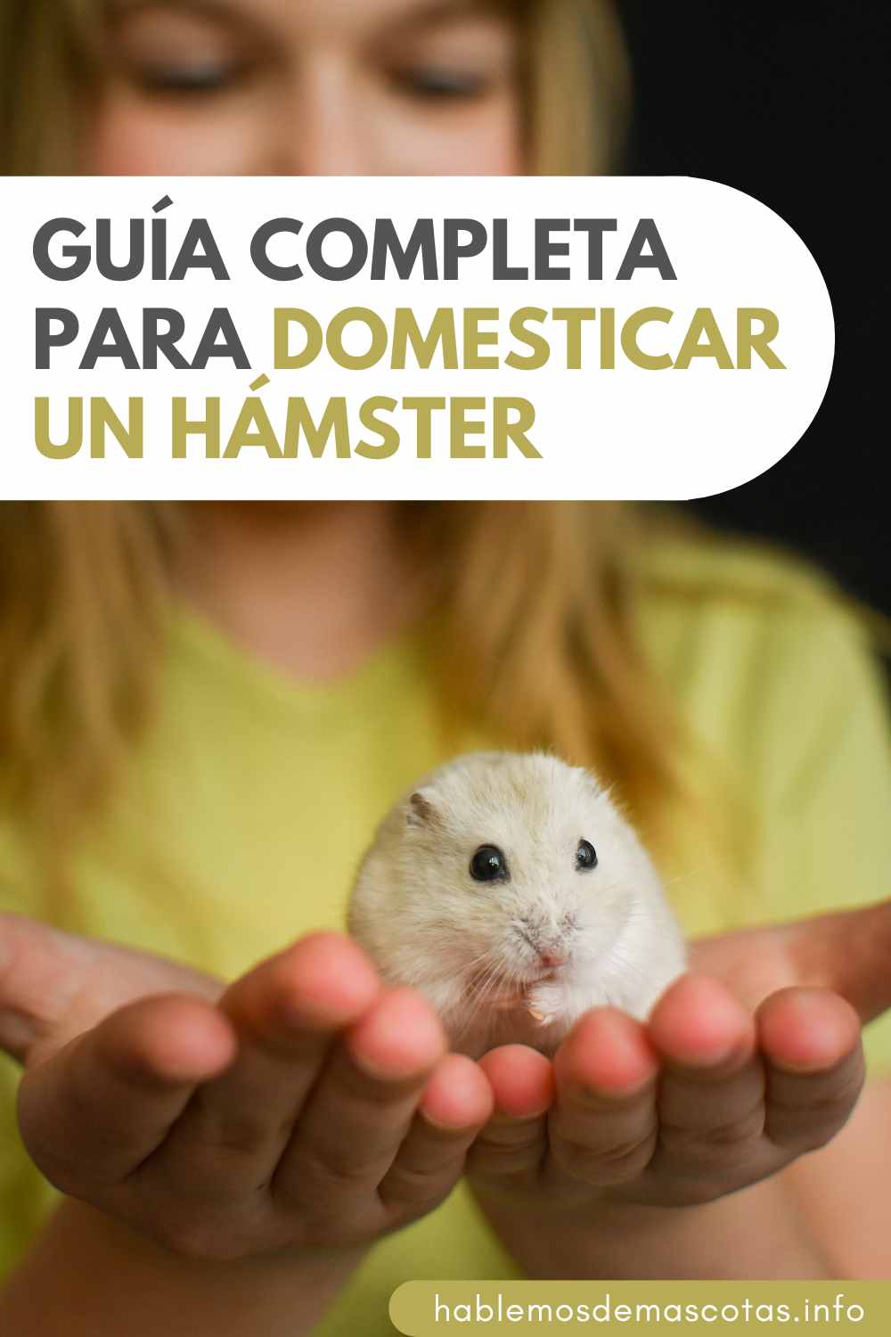 Guía Completa para Domesticar un Hámster