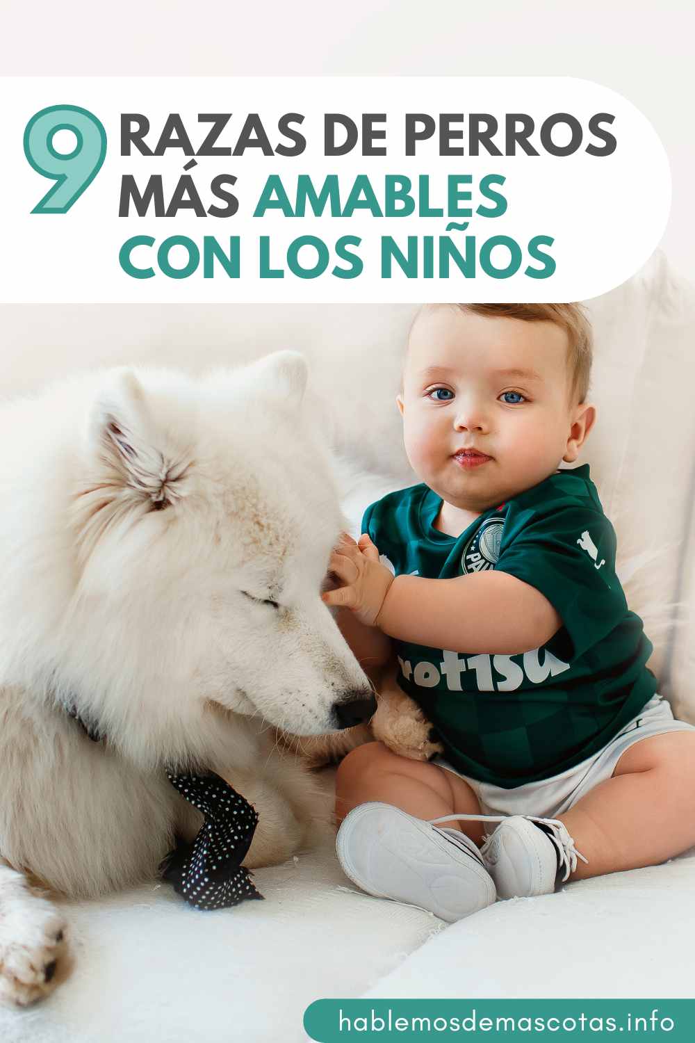Las 9 Razas de Perros Fieles para Niños