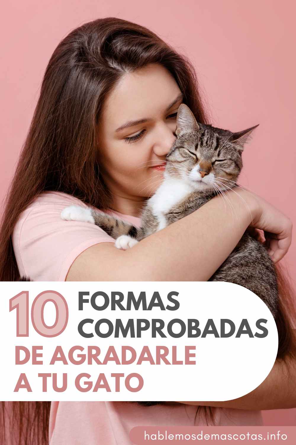 10 Formas Comprobadas de Agradarle a tu Gato