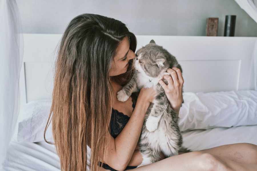 10 Formas para Agradar a Cualquier Gato