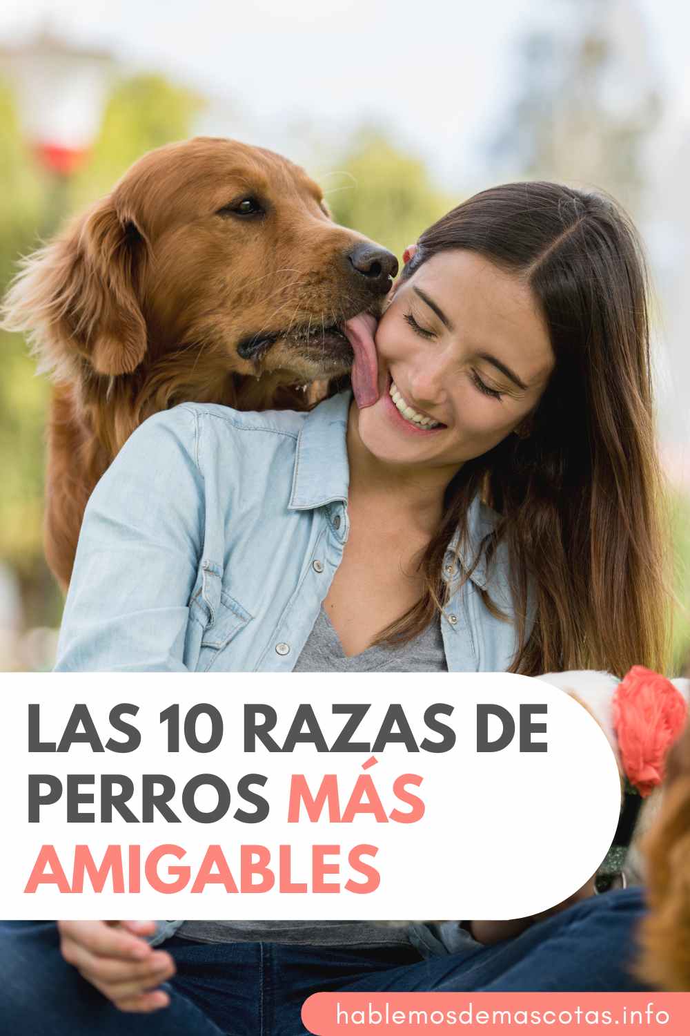 Las 10 Razas de Perros Más Amigables