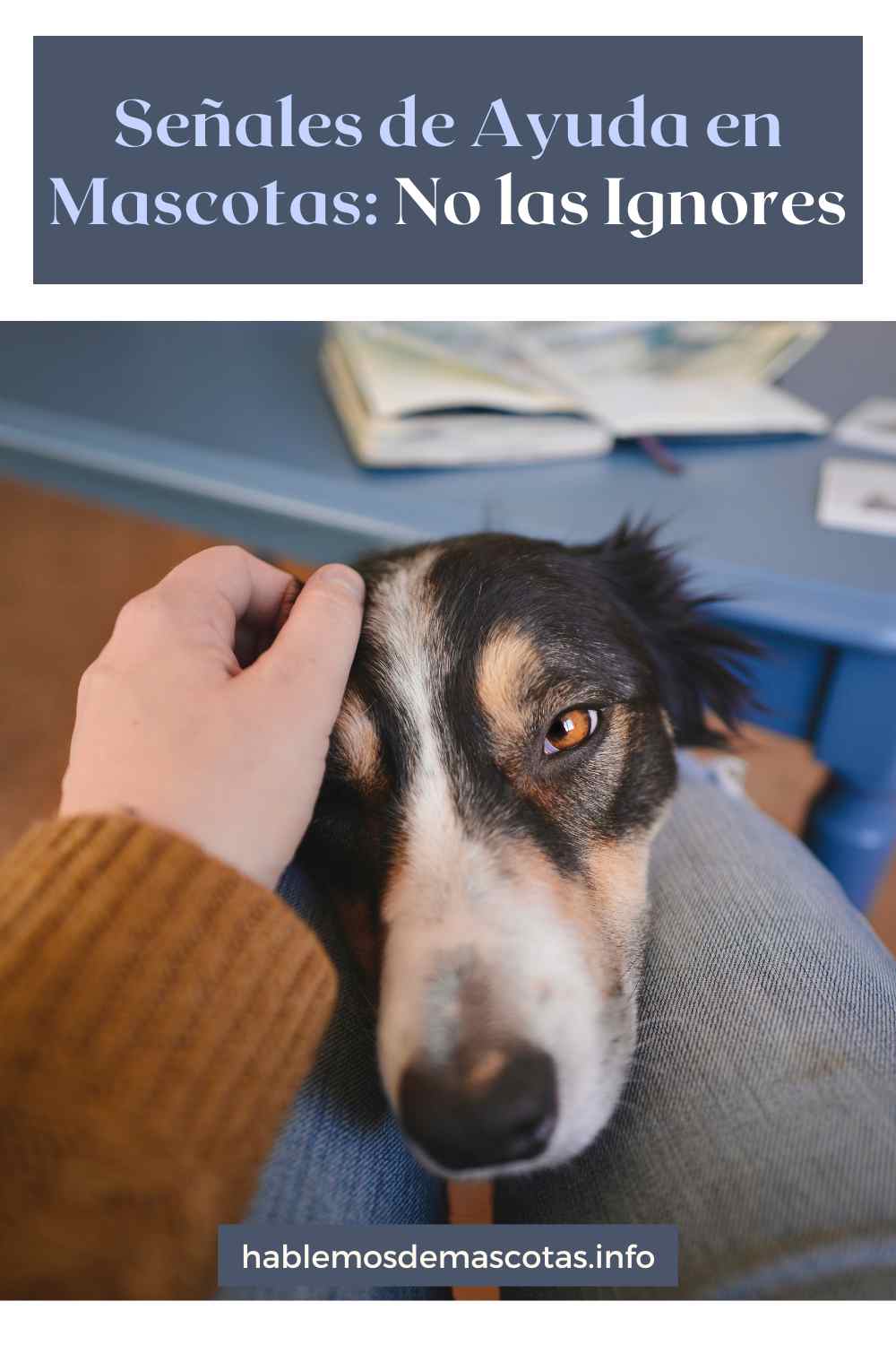 Señales de Ayuda en Mascotas_ No las Ignores