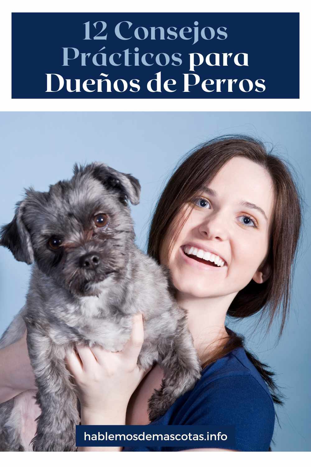 12 Consejos Prácticos para Dueños de Perros