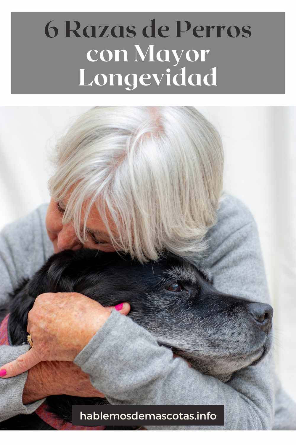 6 Razas de Perros con Mayor Longevidad