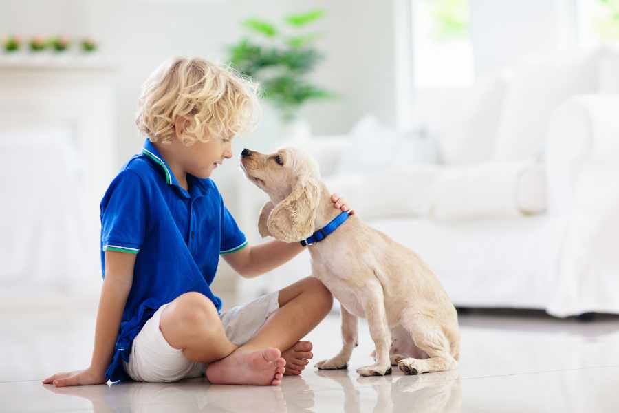 Cachorros felices_ cuánto tiempo deben jugar y cómo hacerlo bien