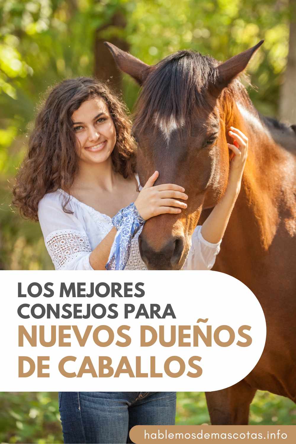 Los Mejores Consejos para Nuevos Dueños de Caballos