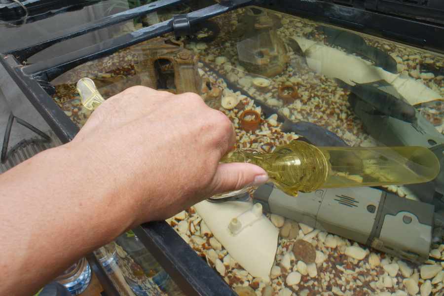 Mantenimiento del agua