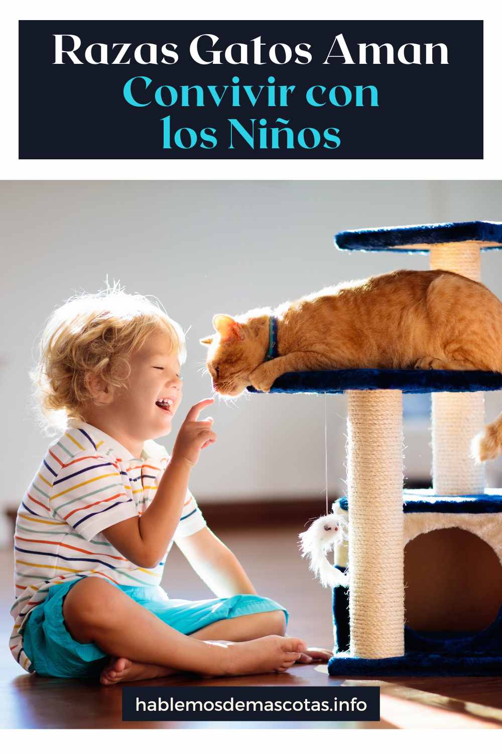 Razas Gatos Aman Convivir con los Niños