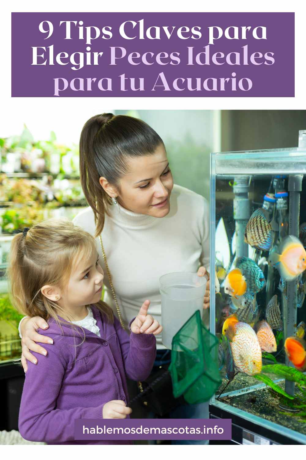 9 Tips Claves para Elegir Peces Ideales para tu Acuario
