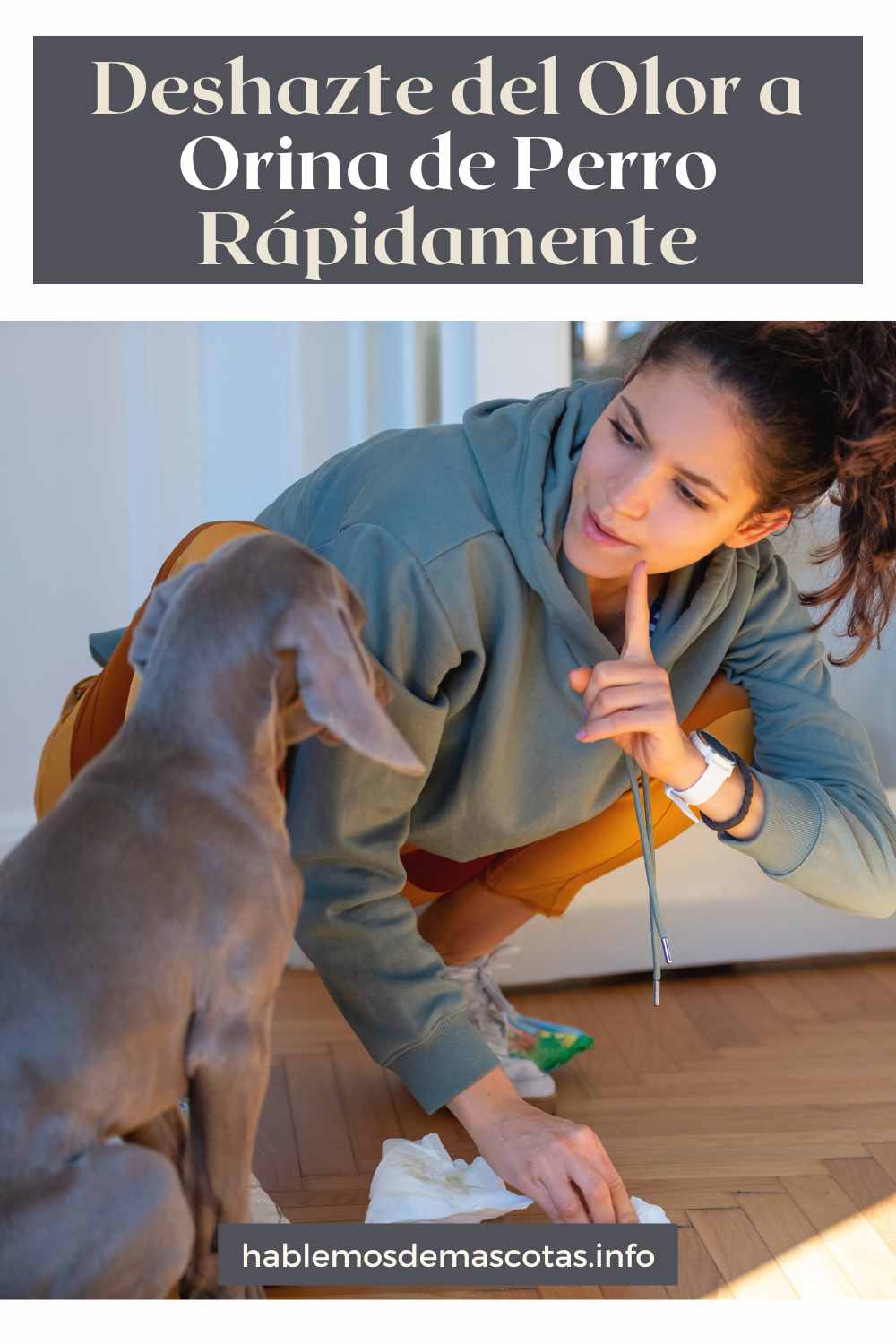 Deshazte del Olor a Orina de Perro Rápidamente