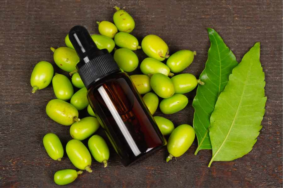 Baño de ave con aceite de neem