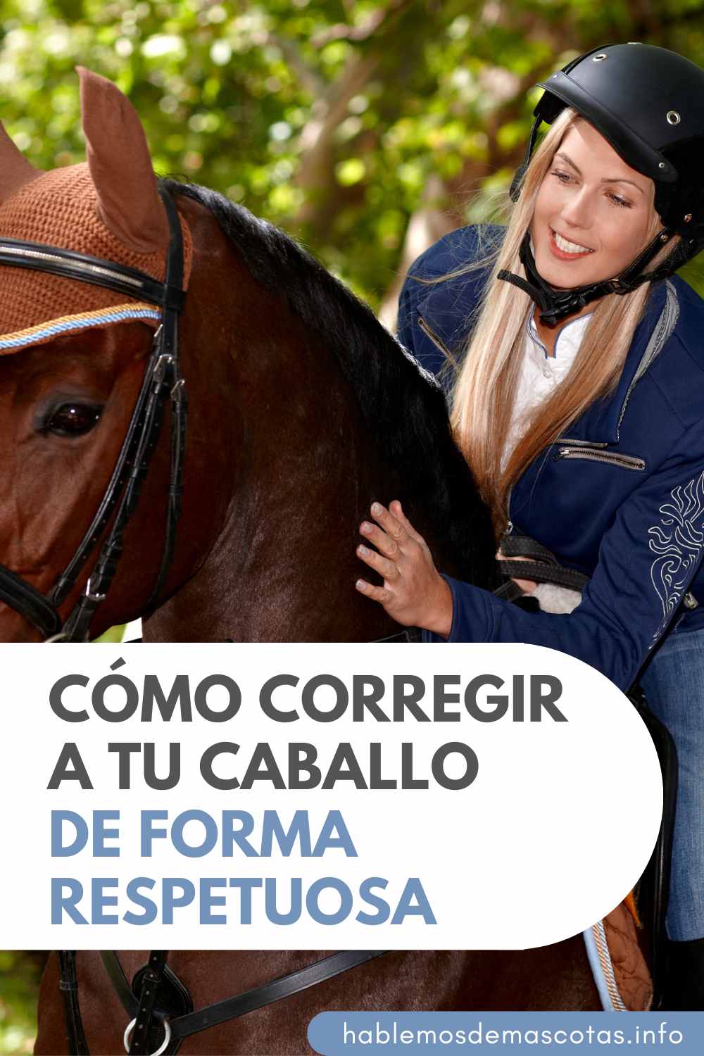 Cómo Corregir a tu Caballo de Forma Respetuosa
