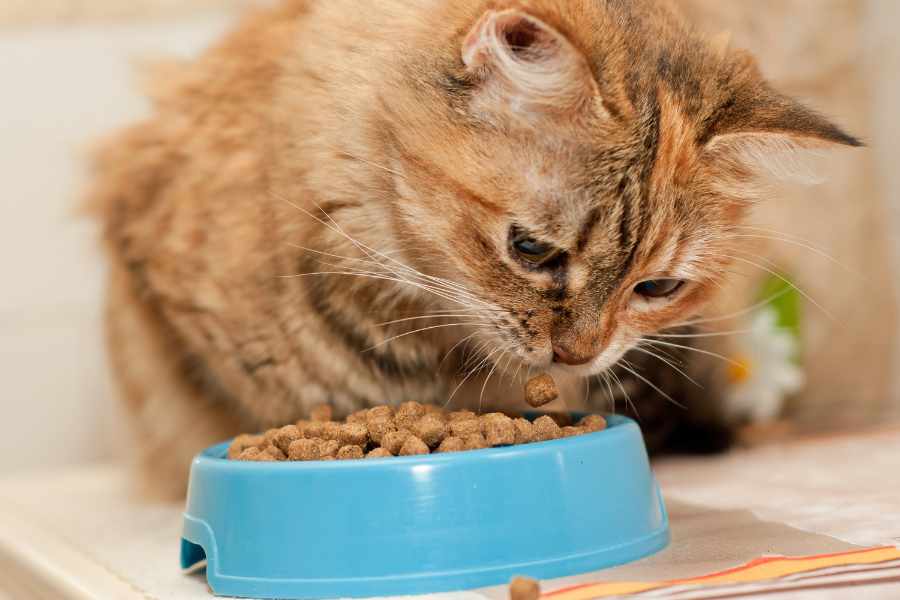No controlar la alimentación