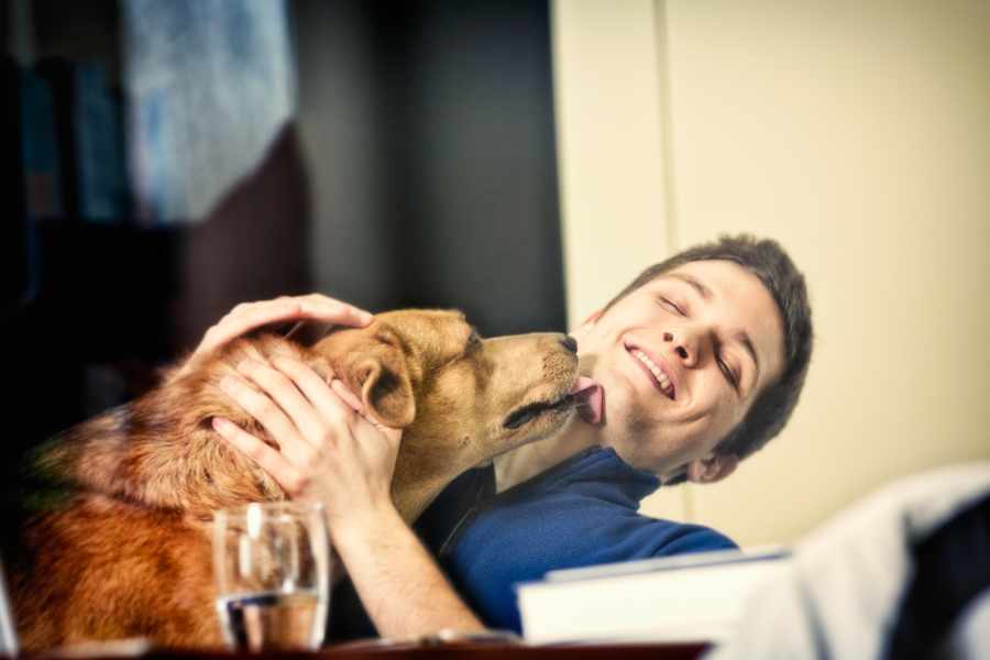 La Importancia del Refuerzo Positivo