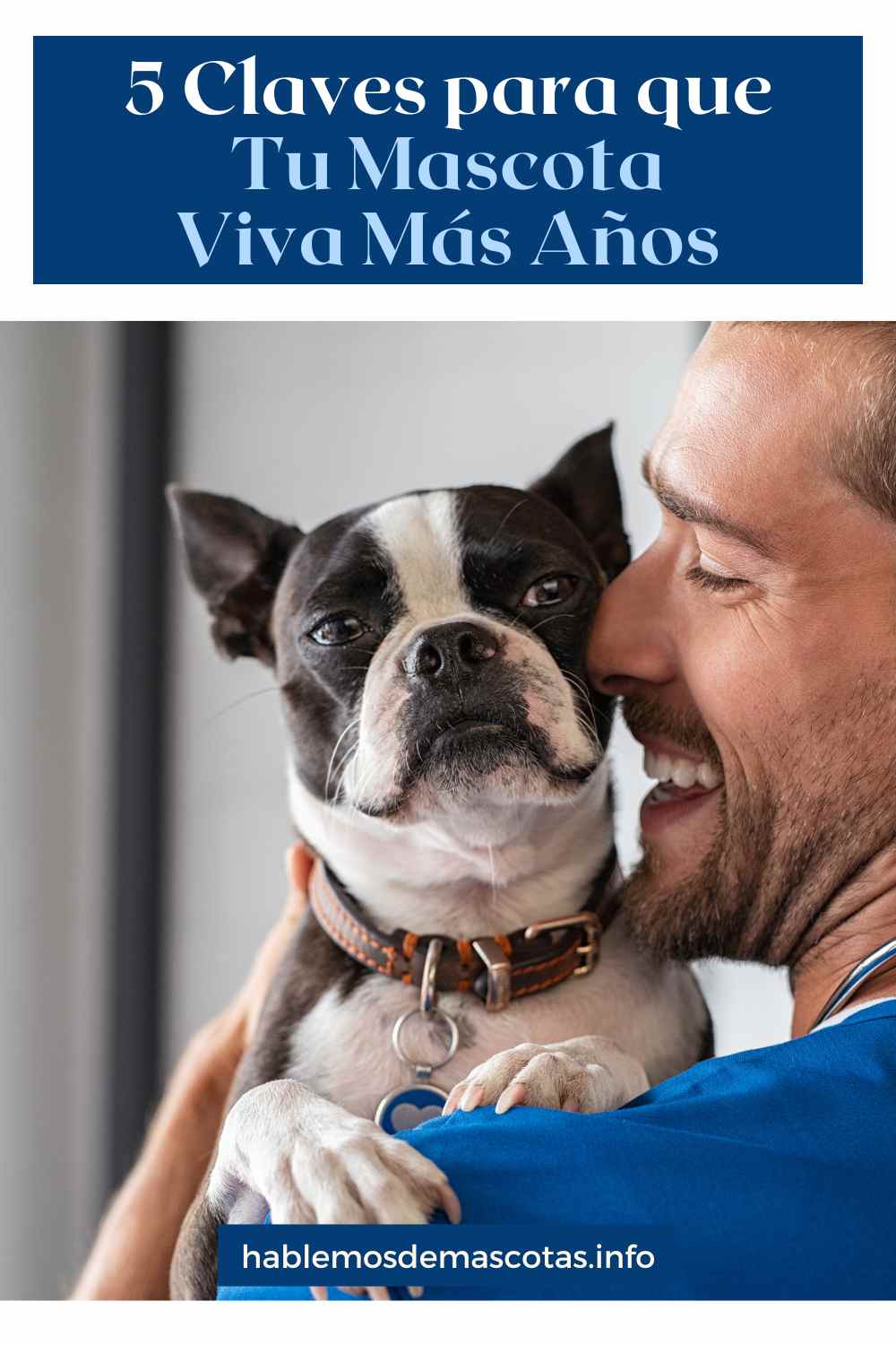 5 Claves para que Tu Mascota Viva Más Años