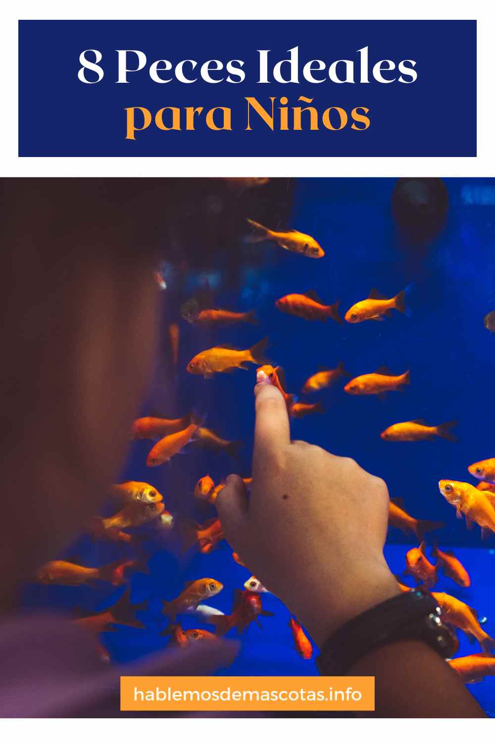 8 Peces Ideales para Niños