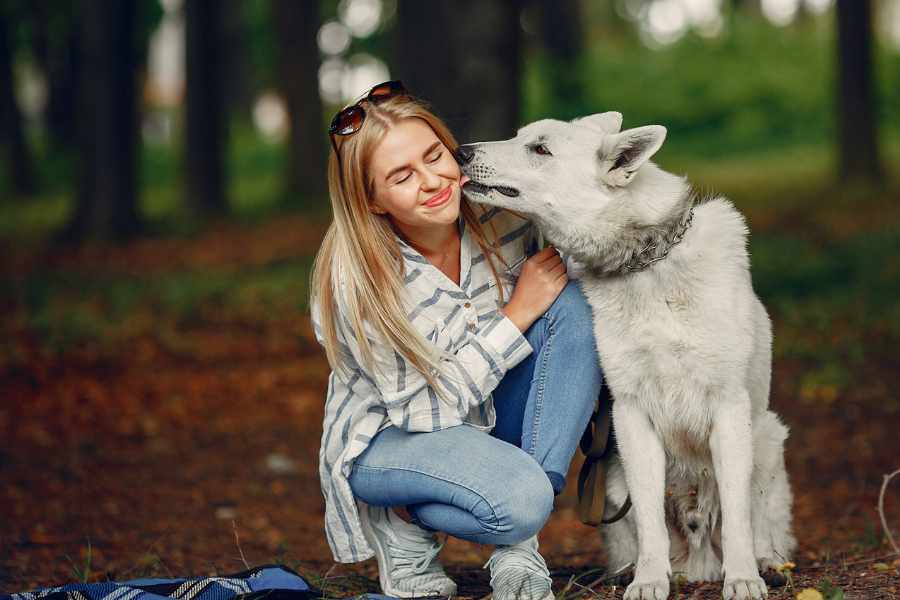 Cómo ayudar a tu perro cuando está bajo estrés