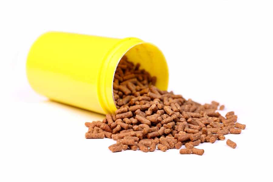 Tipos de alimentos para peces tropicales