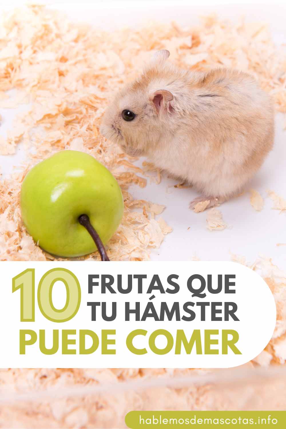 10 Frutas que tu Hámster Puede Comer