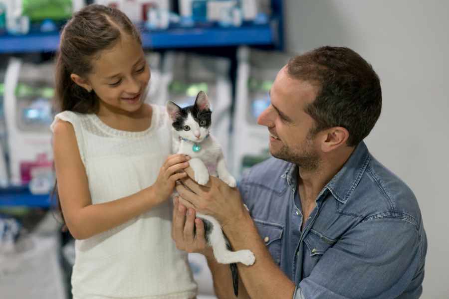 Procedimiento de Adopción