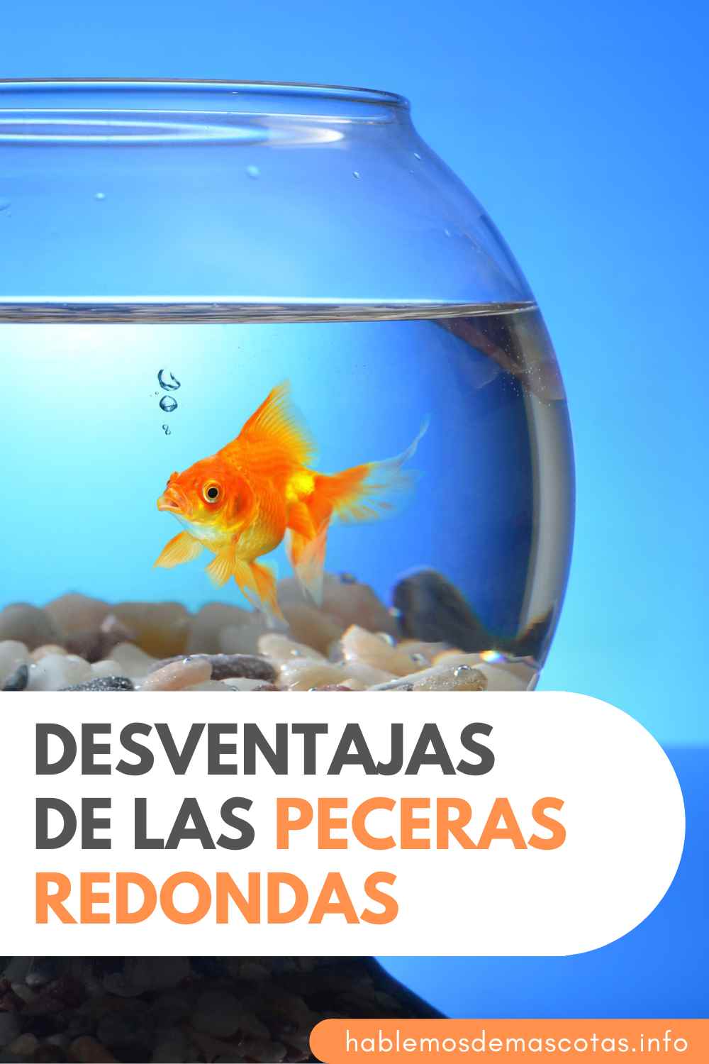 Desventajas de las Peceras Redondas