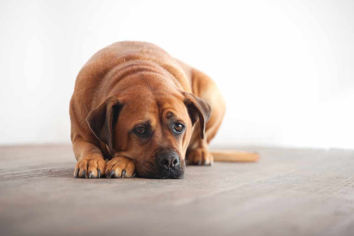 3. Problemas de Sueño
