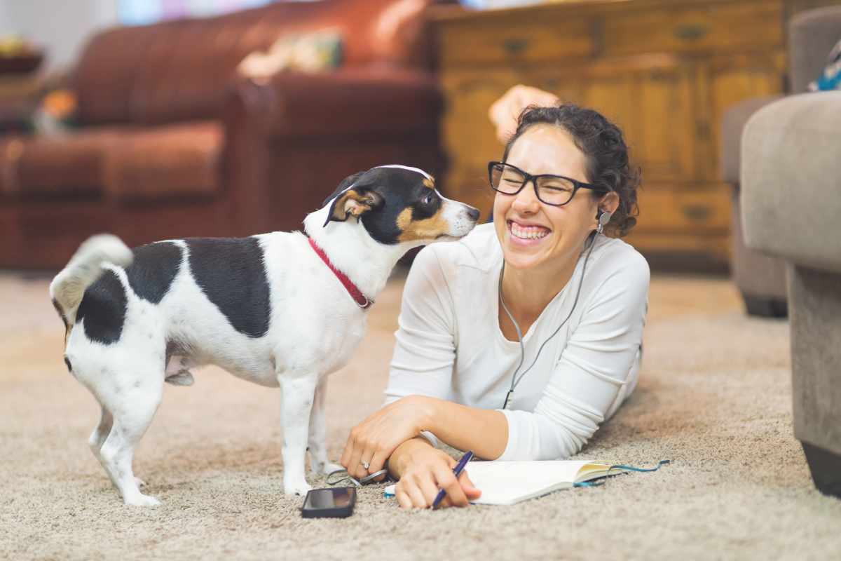 Descubre los 4 Sonidos que Más Relajan a los Perros