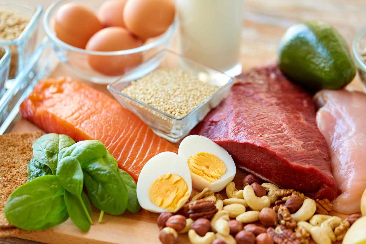 Fuentes de Proteína Animal