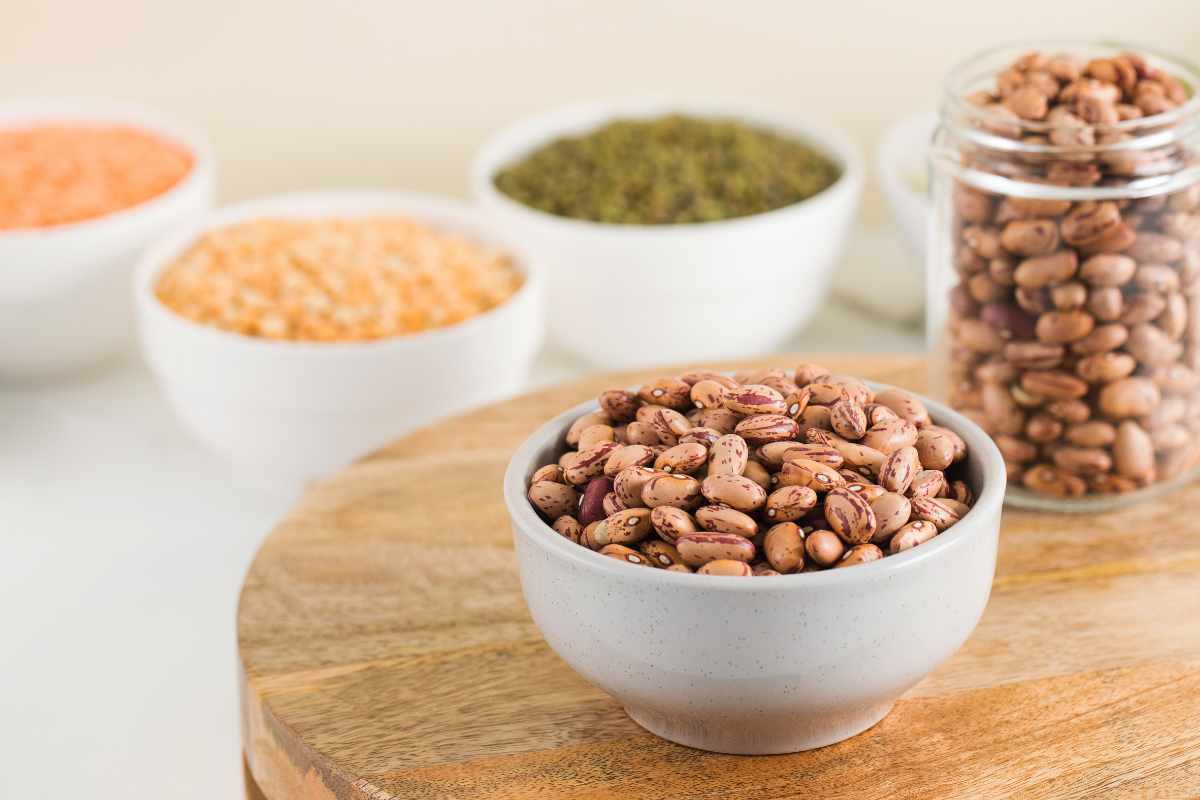 Fuentes de Proteína Vegetal