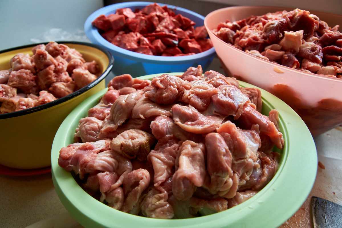 Importancia de las Proteínas para tu Perro