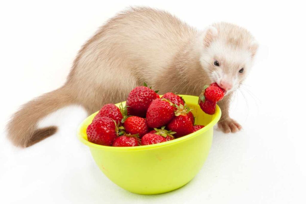 4. Frutas a Evitar