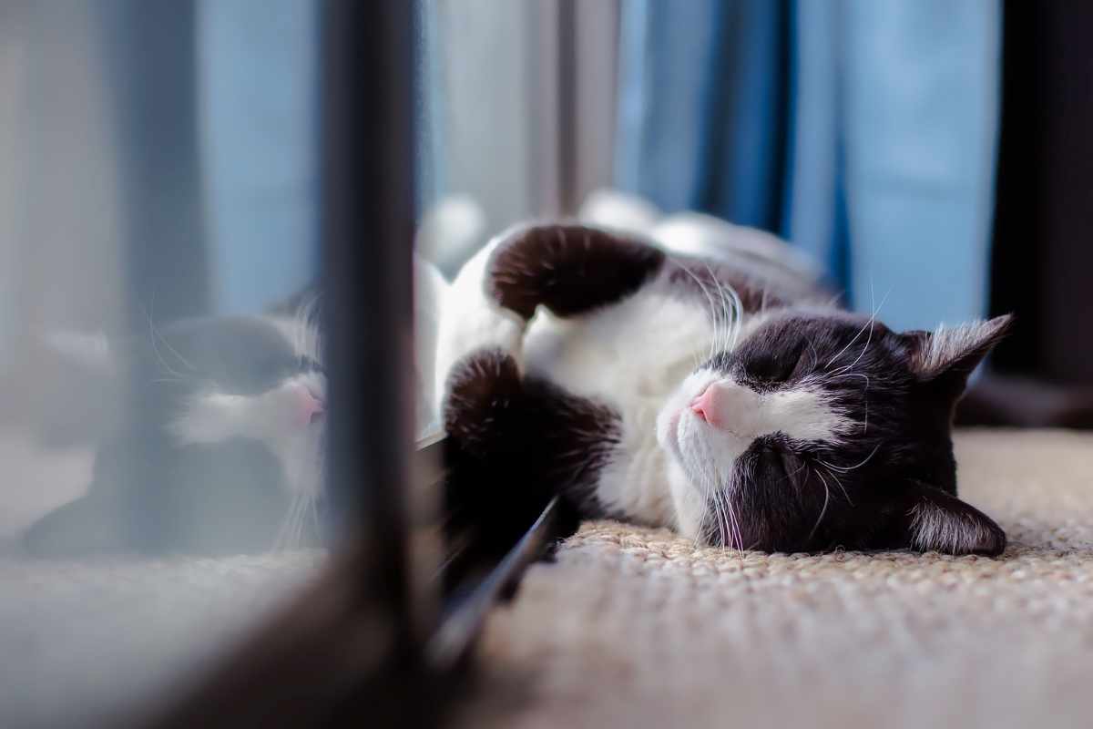 9. Cuidado con las ventanas abiertas
