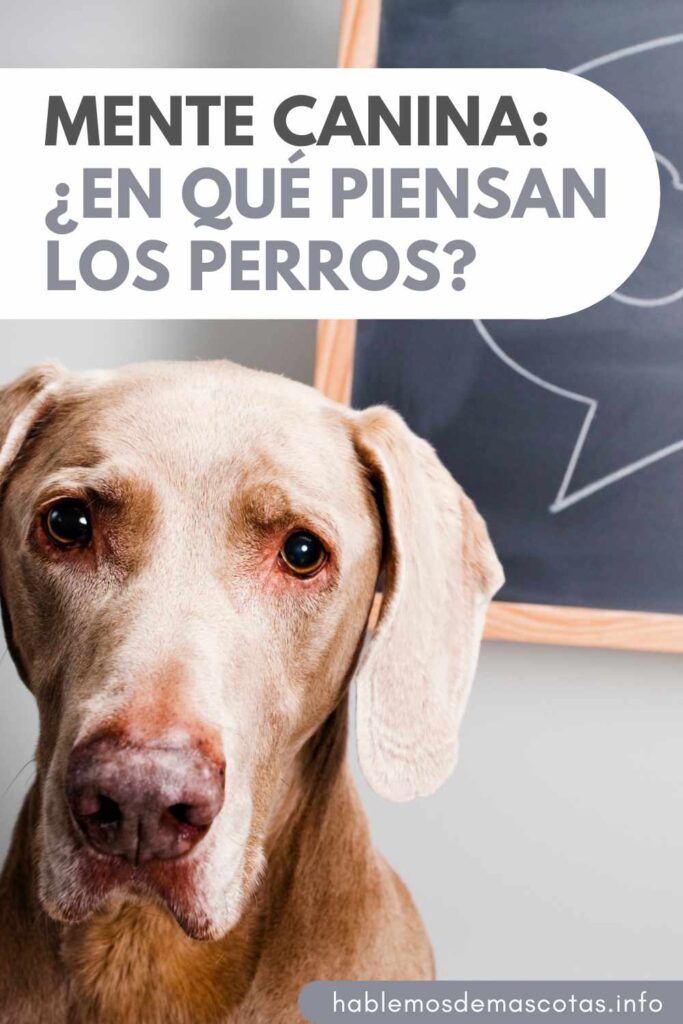 Mente Canina ¿En Qué Piensan los Perros PIN