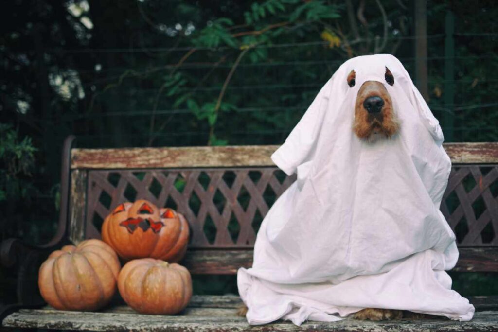 ¿Qué hay de los Fantasmas