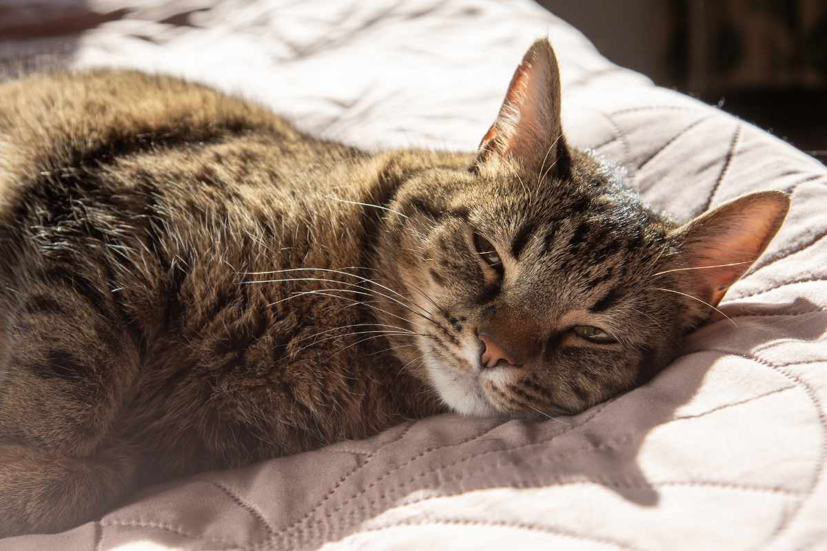 7. Dormir más de lo habitual